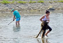 Успешна акција чишћења дела корита реке Црног Тимока Акција чишћења дела корита реке Црног Тимока