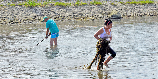 Акција чишћења дела корита реке Црног Тимока Акција чишћења дела корита реке Црног Тимока