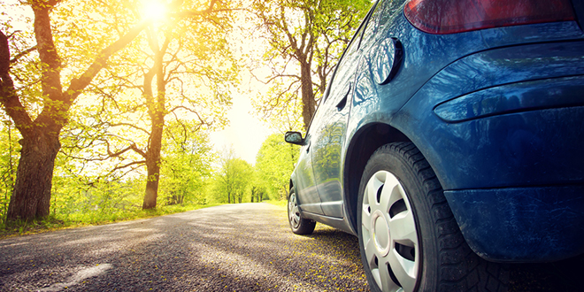 Аутомобил на асфалтном путу у парку