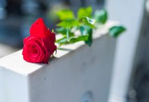 Саопштење ЈKП „Хигијена” закупцима гробних места Црвена ружа на гробном споменику