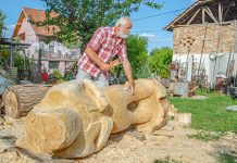 Ђоле Пешић из Звездана дрво претвара у уметност (ФОТО) Ђоле Пешић — Скулптуриста из Звездана