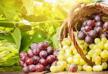 Грожђе: Здравље у малом паковању Грожђе