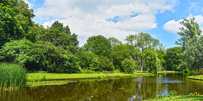 Летњи природни пејзаж Летњи природни пејзаж