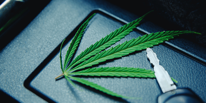 Листа марихуане у аутомобилу