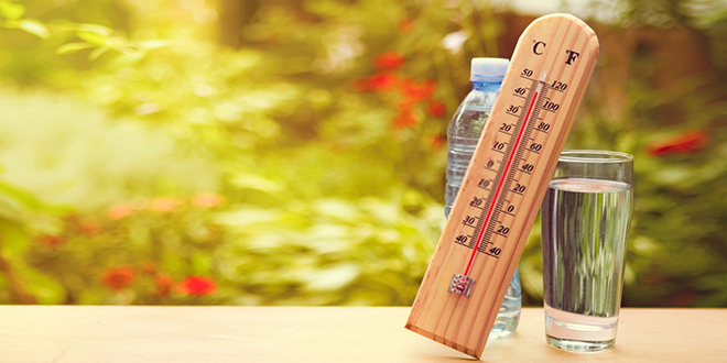 Термометар, чаша и флашица воде