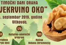 Тимочки дани ораха „Свекрвино око” 28. септембра у Витковцу 3. Тимочки дани ораха „Свекрвино око” у Витковцу