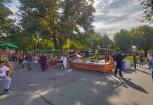 Почео 8. Међународни сајам „Здраво-домаће-природно” у Зајечару (ФОТО) 8. Међународни сајам „Здраво-домаће-природно” у Зајечару