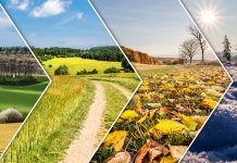 Ево зашто се, током смене годишњих доба, осећамо као да немамо енергије Четири годишња доба