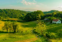 Финансијски подстицаји за унапређење економских активности на селу Село у Србији