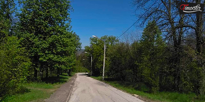 Зајечар — Краљевица