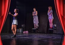 Спуштена завеса на 28. Међународни позоришни фестивал „Дани Зорана Радмиловића” у Зајечару (ФОТО) 28. Фестивал „Дани Зорана Радмиловића” — Осмо вече