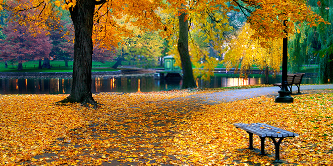 Јесен, парк
