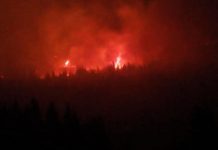 ГОРЕ ЧЕТИНАРИ НА СТАРОЈ ПЛАНИНИ: У гашењу пожара учествују и зајечарски ватрогасци Пожар на Старој планини