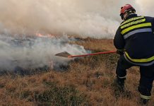 Више од 200 људи ангажовано на гашењу пожара на Старој планини Пожар на Старој планини