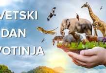 Данас је Светски дан заштите животиња: Волимо их и чувајмо сваки дан Светски дан животиња