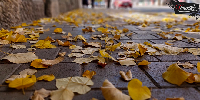 Зајечар, јесен