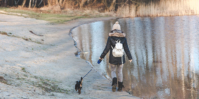 Девојка шета са својим псом поред језера