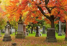 ЈКП „Хигијена” Зајечар: Обавештење закупцима гробних места у Зајечару Јесен, гробље