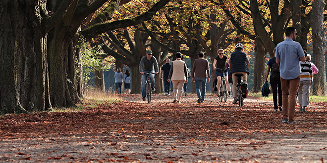 Јесен, људи шетају у парку