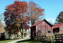 Зајечар: Продужен рок за подношење пријава за куповину кућа младим брачним паровима на селу Кућа на селу