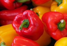 Шарене, укусне и веома здраве: За шта су све добре паприке Паприка