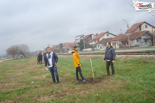 СНС Зајечар – Акција пошумљавања на Краљевици