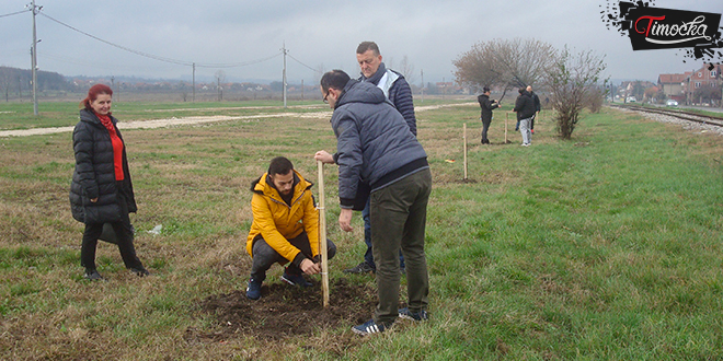 СНС Зајечар – Акција пошумљавања на Краљевици СНС Зајечар – Акција пошумљавања на Краљевици