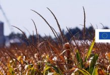 Отворен 3. ИПАРД јавни позив за подстицаје за прераду хране — буџет 5,5 милијарди 3. ИПАРД јавни позив за подстицаје за прераду хране