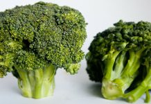 Краљ међу поврћем: Кад видите шта све „може“ броколи, јешћете га стално Броколи