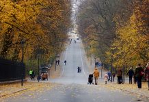 Јутарња магла и ниска облачност, поподне киша у већини крајева Јесен, улица