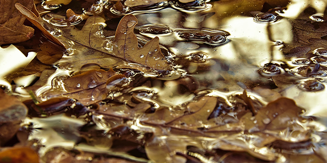 Киша, локва воде