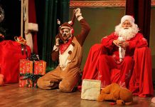 „Шашава новогодишња бајка” одушевила малишане у зајечарском позоришту Представа „Шашава новогодишња бајка”