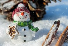 Управо је почела зима: Данас је најкраћи дан у години Снег, Снешко Белић