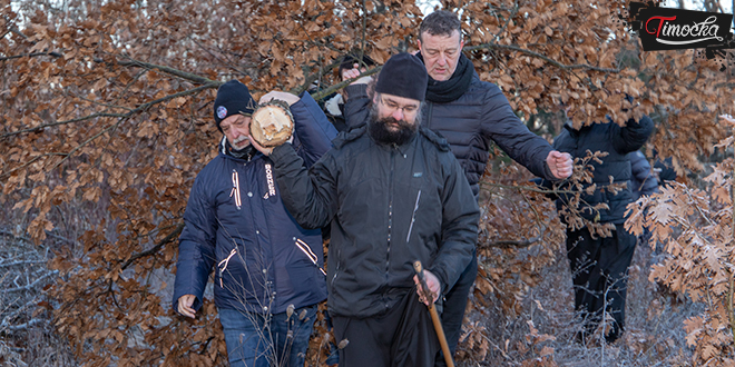 Градска управа Зајечар — Сеча Бадњака Градска управа Зајечар — Сеча Бадњака