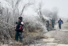 Уређен пут Трнавац–Градсково Крчење пута Трнавац–Градсково