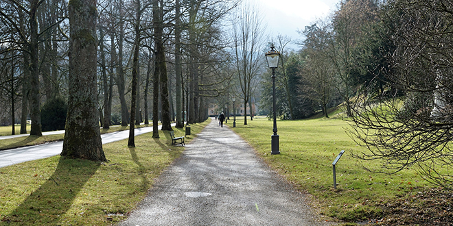 Парк, људи шетају