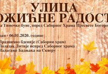 Програм обележавања Бадњег дана, вечери и Божића у Зајечару — По први пут „Улица Божићне радости” „Улица Божићне радости” у Зајечару