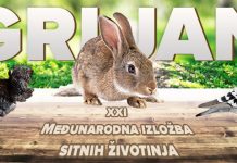 XXI Међународна изложба ситних животиња у Грљану XXI Међународна изложба ситних животиња у Грљану