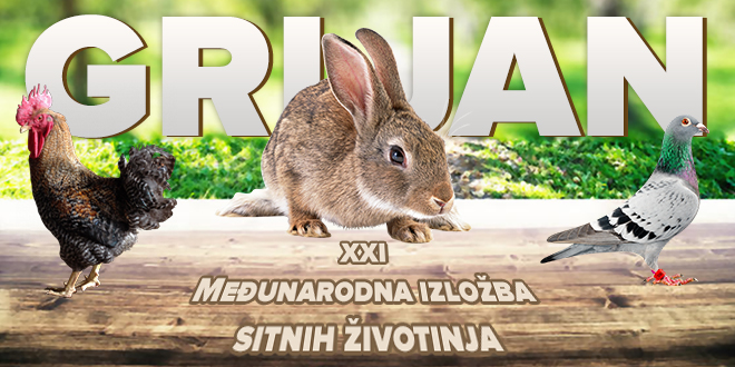XXI Међународна изложба ситних животиња у Грљану XXI Међународна изложба ситних животиња у Грљану