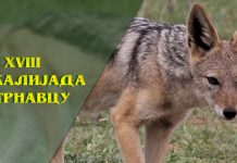 18. Шакалијада у Трнавцу 18. Шакалијада у Трнавцу