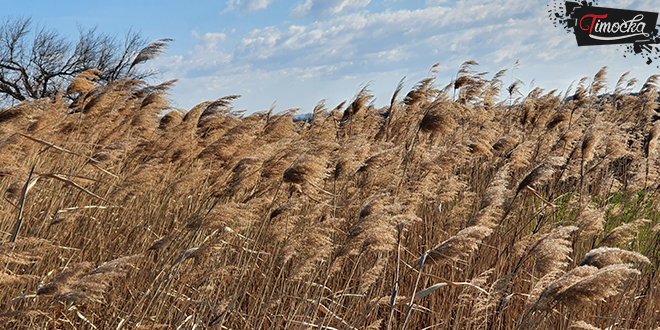 Природа, природни пејзаж