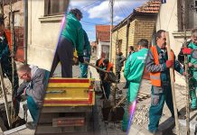Которска улица у Зајечару добила нови дрворед Садња дрвореда у Которској улици у Зајечару