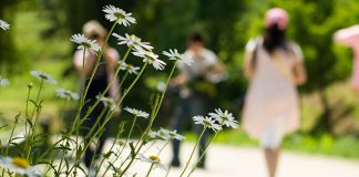 Делимично ведро са локалном појавом краткотрајне кише, уз могућност грмљавине Цвеће бела рада, људи шетају