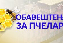 ГУ Зајечар: Обавештење за пчеларе на територији града Зајечара ГУ Зајечар: Обавештење за пчеларе