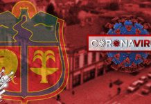 28 оболелих од корона вируса у Зајечару, једна особа преминула Град Зајечар — COVID-19