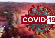 Нема нових позитивних случајева на COVID-19, чекају се резултати за 140 особа са територије града Зајечара Град Зајечар — COVID-19