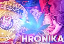 ПУ Мајданпек: У џаку скривао пет килограма марихуане Хроника