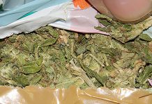 ПУ Мајданпек: Ухапшени због 210 грама марихуане и дигиталне вагице Марихуана, канабис