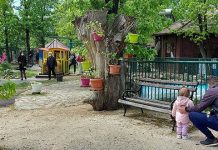 Борски Зоолошки врт поново отворен за посетиоце уз поштовање прописаних мера заштите Борски Зоолошки врт поново отворен за посетиоце уз поштовање прописаних мера заштите