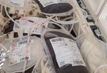 Црвени крст Зајечар: Прикупљене 34 јединице крви у Зајечару Кесе крви